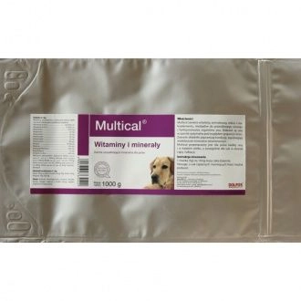  Dolvit Multical 1000g proszek