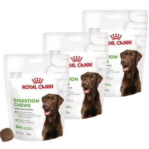 Royal Canin Digestion Adult Chews 3x160g