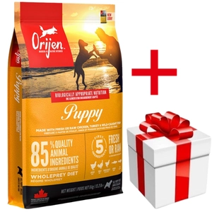 ORIJEN Dog Puppy 6kg+ niespodzianka dla psa GRATIS!