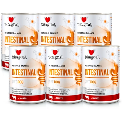 Disugual Karma mokra dla psa Weterynaryjna INTESTINAL Wołowina (dorosły) 6x400g