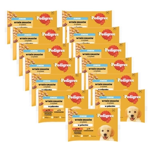 PEDIGREE Junior saszetka 13x(4x100g) - Wybór Smaków z Ryżem w Galaretce, mokra karma pełnoporcjowa dla rosnących psów (kawałki bogate w kurczaka oraz kawałki bogate w mieszankę wołowiny i wątróbki)