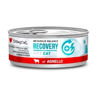 Disugual Karma mokra dla kota Weterynaryjna RECOVERY Jagnięcina (dorosły) 85g