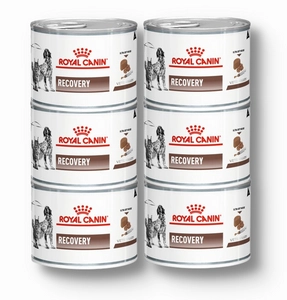 ROYAL CANIN Recovery 6x195g puszka