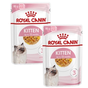 ROYAL CANIN Kitten w galaretce Feline 24x85g saszetka