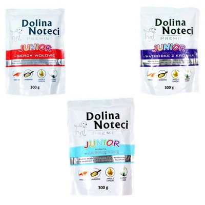 Dolina Noteci PREMIUM Junior MIX Smaków 12x300g