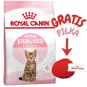 ROYAL CANIN  Kitten Sterilised 2kg karma sucha dla kociąt od 6 do 12 miesiąca życia, sterylizowanych + Royal Canin piłka dla kota GRATIS!!