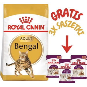 ROYAL CANIN Bengal Adult 10kg karma sucha dla kotów dorosłych rasy bengal + 3 SASZETKI GRATIS!!