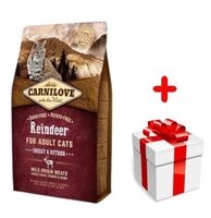 CARNILOVE Cat Reindeer Energy & Outdoor 2kg + niespodzianka dla kota GRATIS!