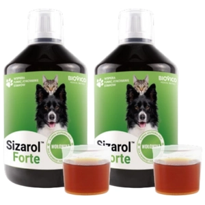 BIOVICO Sizarol Forte 2x250 ml