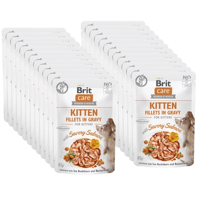 BRIT CARE Cat Kitten Fillets in Gravy with Savory Salmon Enriched with Sea Buckthorn and Nasturtium 24x85g