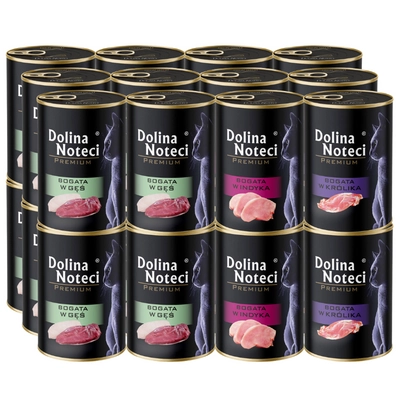 Dolina Noteci Premium dla kota mix smaków 24x400g
