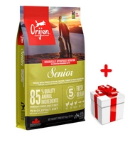 ORIJEN Dog Senior 6kg + niespodzianka dla psa GRATIS!