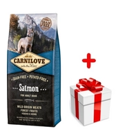 Carnilove Salmon for Adult 12kg + niespodzianka dla psa GRATIS!