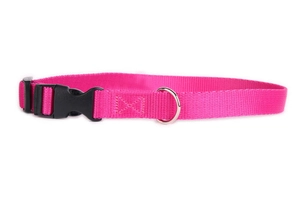 DogStuffs Obroża z plastikową klamrą 20mm/30-55cm różowa