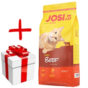 JOSERA JosiCat Tasty Beef 10kg + niespodzianka dla kota GRATIS!
