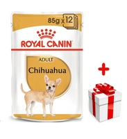 ROYAL CANIN Chihuahua Adult 12x85g karma mokra - pasztet, dla psów dorosłych rasy  + niespodzianka dla psa GRATIS