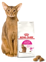 ROYAL CANIN  Exigent Savour 35/30 Sensation 400g karma sucha dla kotów dorosłych, wybrednych, kierujących się teksturą krokieta