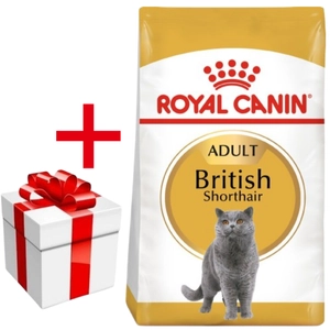 ROYAL CANIN British Shorthair 2kg + niespodzianka dla kota GRATIS!