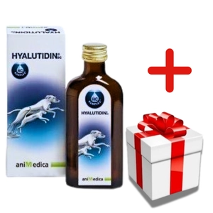 Hyalutidin płyn na stawy 125ml +  NIESPODZIANKA DLA PSA GRATIS!!