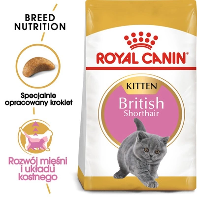 ROYAL CANIN British Shorthair Kitten 2kg + niespodzianka dla kota GRATIS!