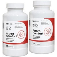 Lab-v Arthro Comfort – Kompleksowe wsparcie zdrowia stawów oraz układu ruchu dla psów i kotów 2x90 kapsułek