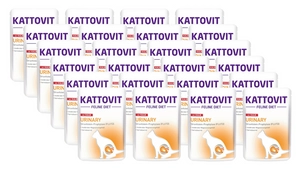 Kattovit Urinary cielęcina 24x85g saszetka