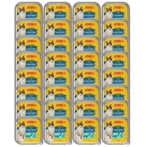 JOSERA JosiCat Pate z łososiem 32x100g