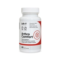 Lab-v Arthro Comfort – Kompleksowe wsparcie zdrowia stawów oraz układu ruchu dla psów i kotów 45 kapsułek
