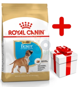 ROYAL CANIN Boxer Puppy 12kg + niespodzianka dla psa GRATIS!