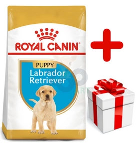 ROYAL CANIN Labrador Retriever Puppy 12kg + niespodzianka dla psa GRATIS!