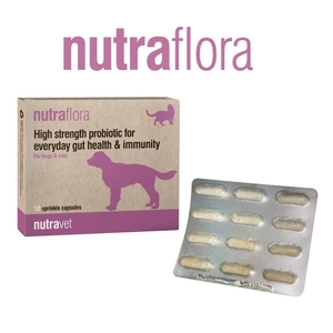 NUTRAVET Nutraflora For Dogs & Cats 12kaps - Probiotyk o wysokiej sile wspomagający codzienne zdrowie jelit i odporności