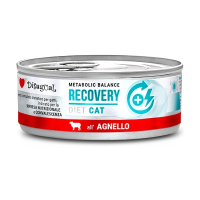 Disugual Karma mokra dla kota Weterynaryjna RECOVERY Jagnięcina (dorosły) 85g