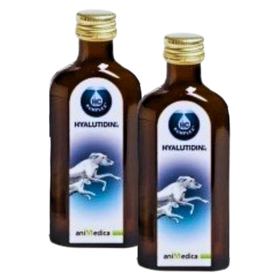Hyalutidin płyn na stawy 2 x 125ml