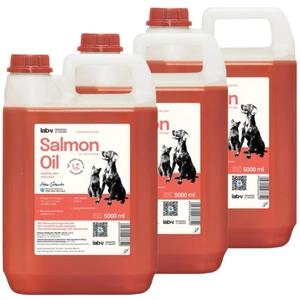 Lab-v Olej z Łososia 100% Dla Psa i Kota w Każdym Wieku 3x5000 ml (15L) Tłoczony Na Zimno