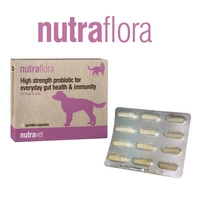 NUTRAVET Nutraflora For Dogs & Cats 12kaps - Probiotyk o wysokiej sile wspomagający codzienne zdrowie jelit i odporności 