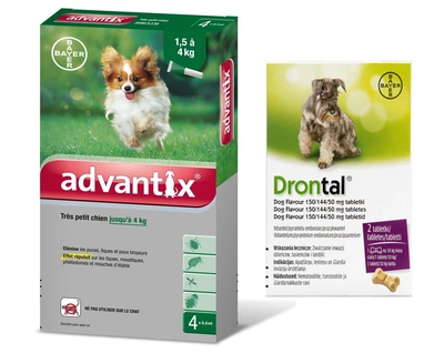 Advantix - dla psów do 4kg (4 pipety x 0,4ml) + Drontal - Dog flavour 2tabl. (kostki) 