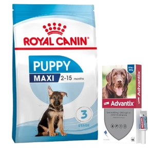 ROYAL CANIN Maxi Puppy 15kg + Advantix - dla psów 25-40kg (4 pipety x 4ml)