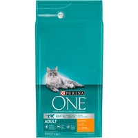 Purina One Cat Adult Karma z kurczakiem dla kota 6kg  /Opakowanie uszkodzone (6478) !!!