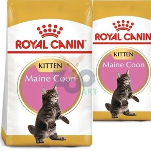 ROYAL CANIN Maine Coon Kitten 2x10kg