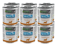 Farmina Vet Life Convalescence Dog 12x300g