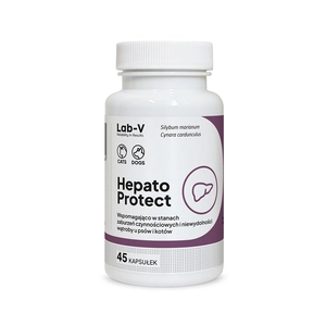 Lab-v Hepato Protect – Wspomaganie funkcji wątroby dla psów i kotów 45 kapsułek