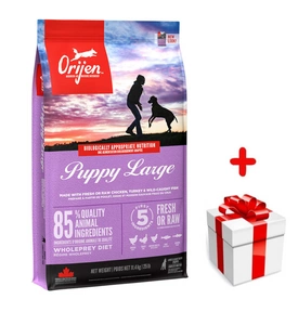 ORIJEN Dog Puppy Large 11,4kg + niespodzianka dla psa GRATIS!