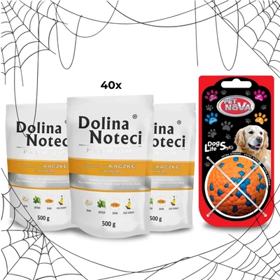 DOLINA NOTECI Premium Kaczka z dynią 40x500g + piłka