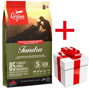 ORIJEN Tundra Dog 6kg+ niespodzianka dla psa GRATIS!