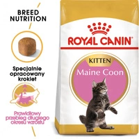 ROYAL CANIN Maine Coon Kitten 10kg karma sucha dla kociąt, do 15 miesiąca, rasy maine coon