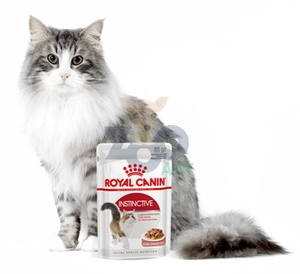 ROYAL CANIN  Instinctive 24x85g w sosie karma mokra w sosie dla kotów dorosłych, wybrednych