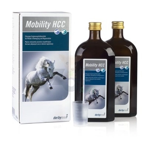 LIVISTO Derbymed Mobility HCC 2x500ml