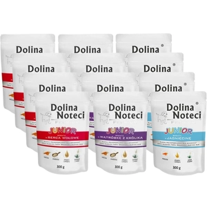 Dolina Noteci PREMIUM Junior MIX Smaków 12x300g