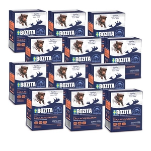 BOZITA Dog: Łosoś w galarecie 12x370g