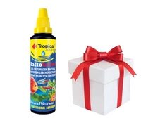 TROPICAL Bacto-Active 250ml + próbka karmy dla rybek Tropical